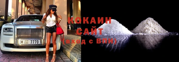 хмурый Алзамай
