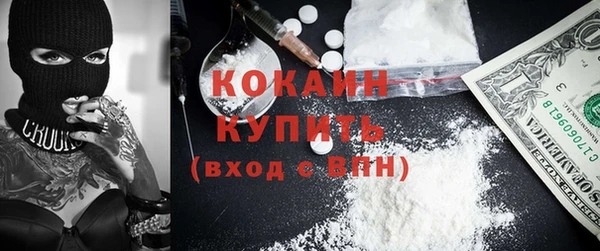 хмурый Алзамай