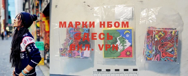 хмурый Алзамай